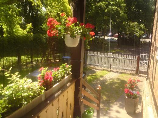 Ferienwohnung Haus Amelie Bad Salzungen Exterior foto